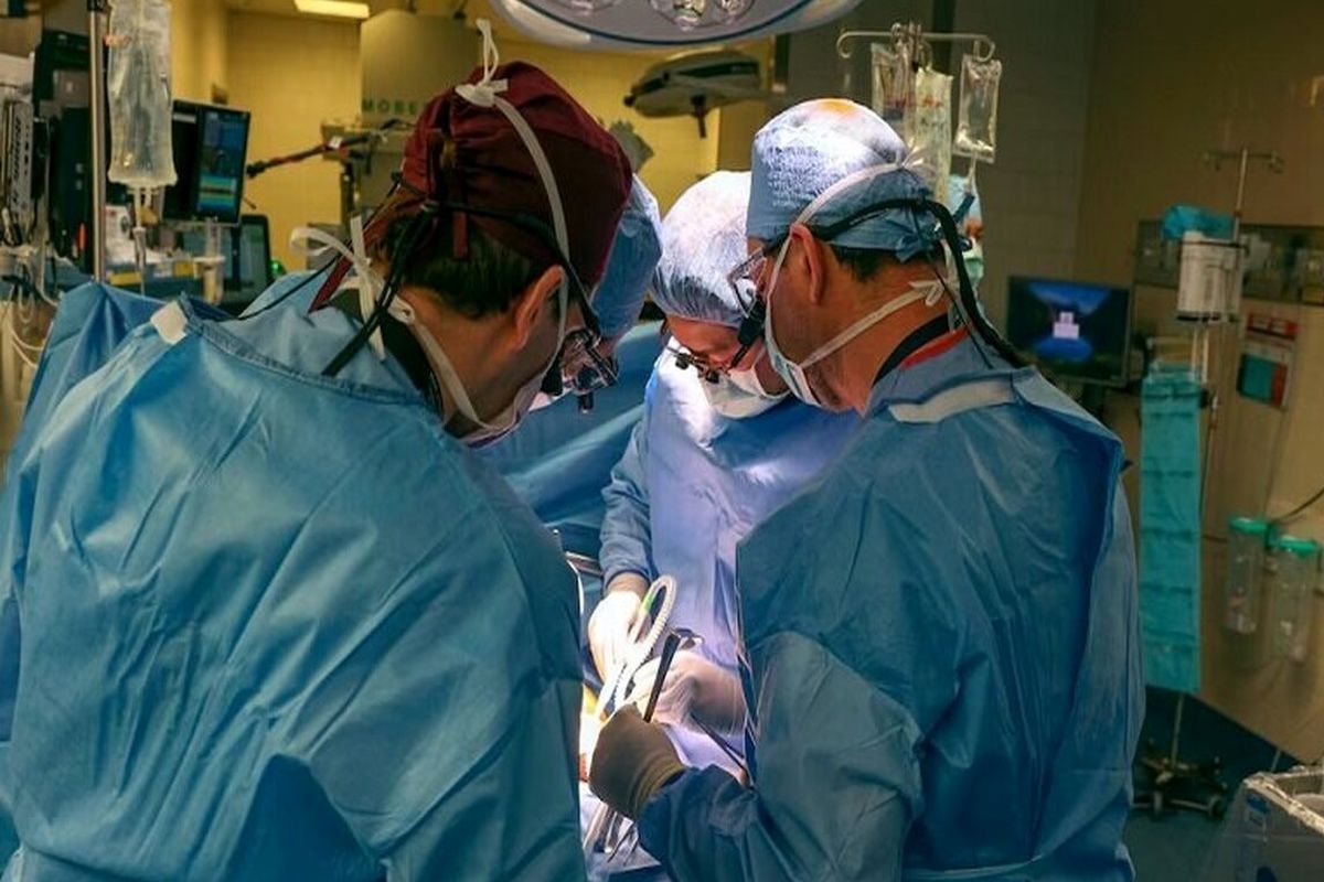 جزئیات جراحی پیوند کلیه بدون بیهوشی
