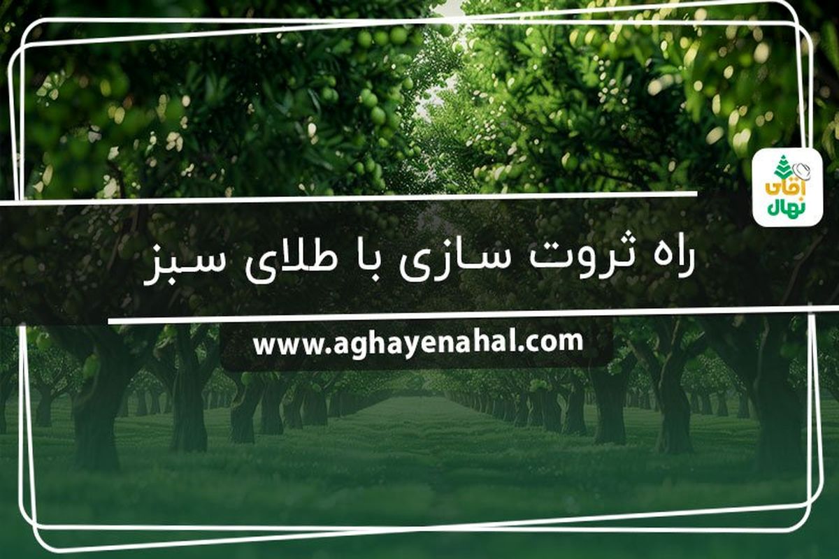 خرید نهال | راه ثروت سازی با طلای سبز