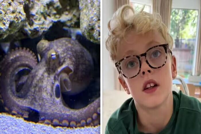 هشت پایی که یک خانواده را به دردسر انداخت+ عکس