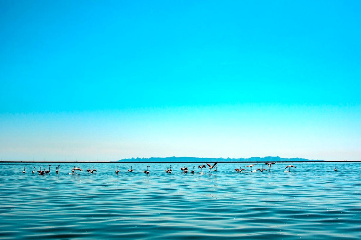 سواحل بکر بندرعباس که ارزش یک بار دیدن را دارند