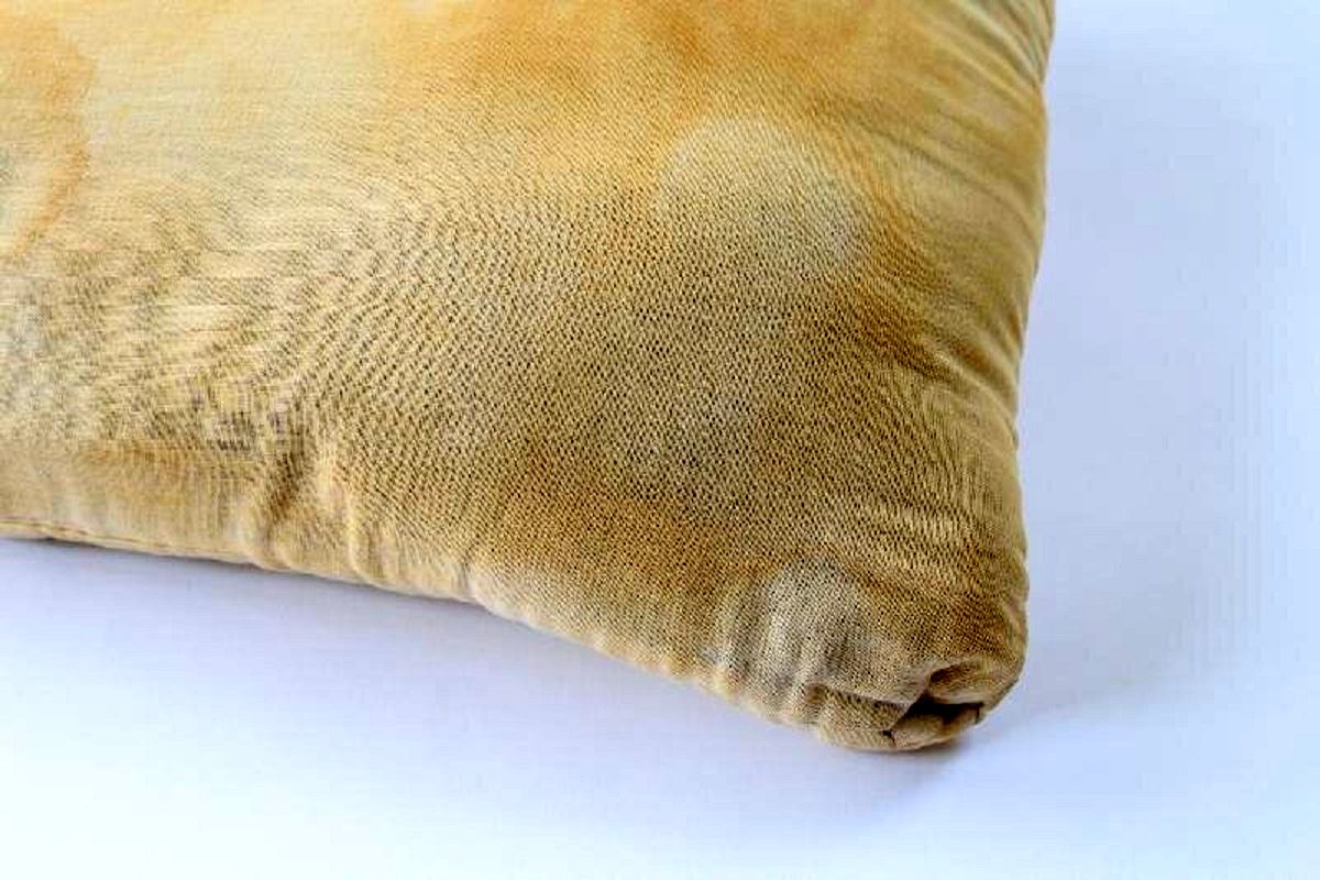 چرا روبالشی ها در تابستان از توالت کثیف‌ترند؟!