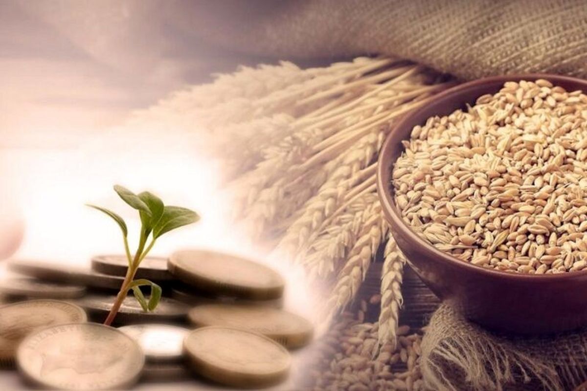 مبلغ فطریه و کفاره سال ۱۴۰۴ اعلام شد