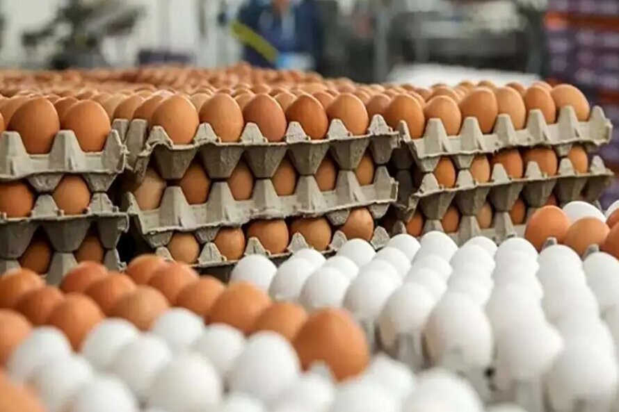 قیمت جدید هر شانه تخم‌مرغ اعلام شد