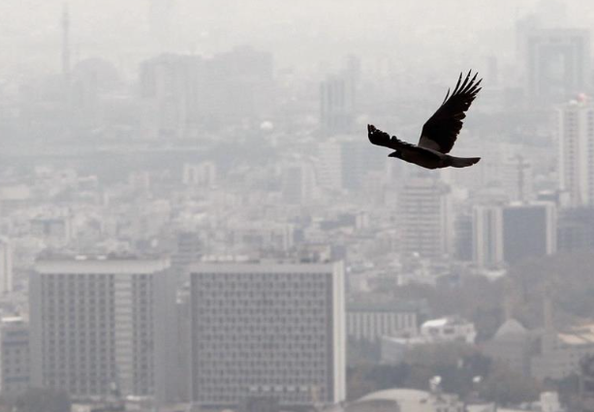 پشت پرده عدم موفقیت برنامه جهش مسکن