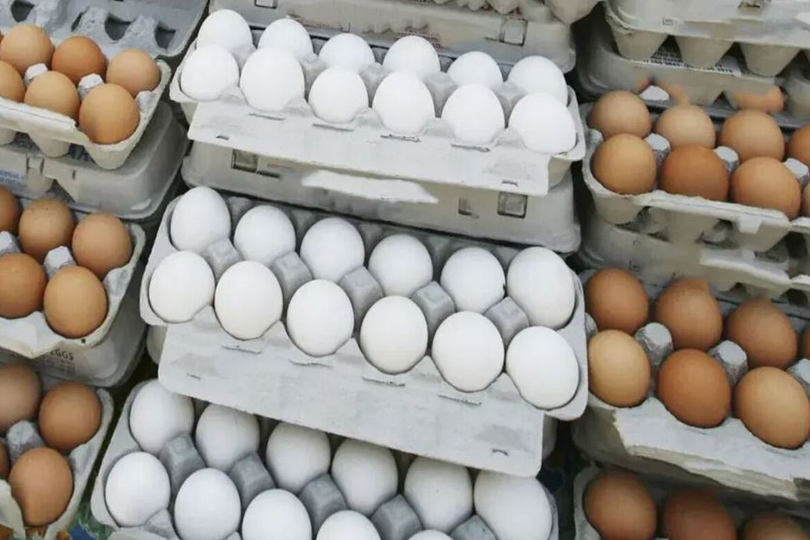 آزمون سخت سیاست گذاری ارزی / تخم مرغ موتور تورم زنجیره ای را روشن کرد؟