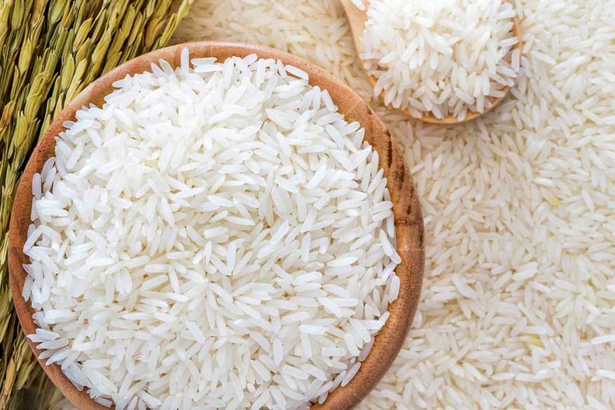 قیمت رسمی برنج ایرانی اعلام شد (۲۶ اردیبهشت)