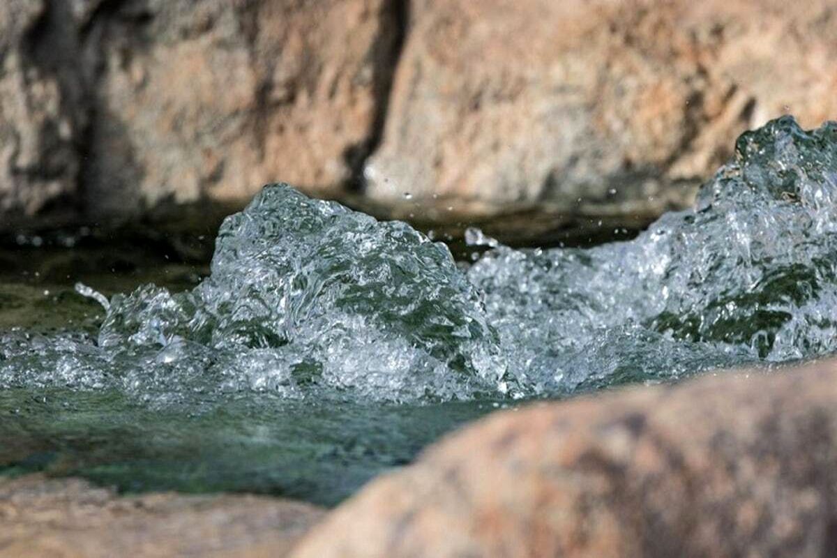 افعی زمین‌خوار ایران شناسایی شد