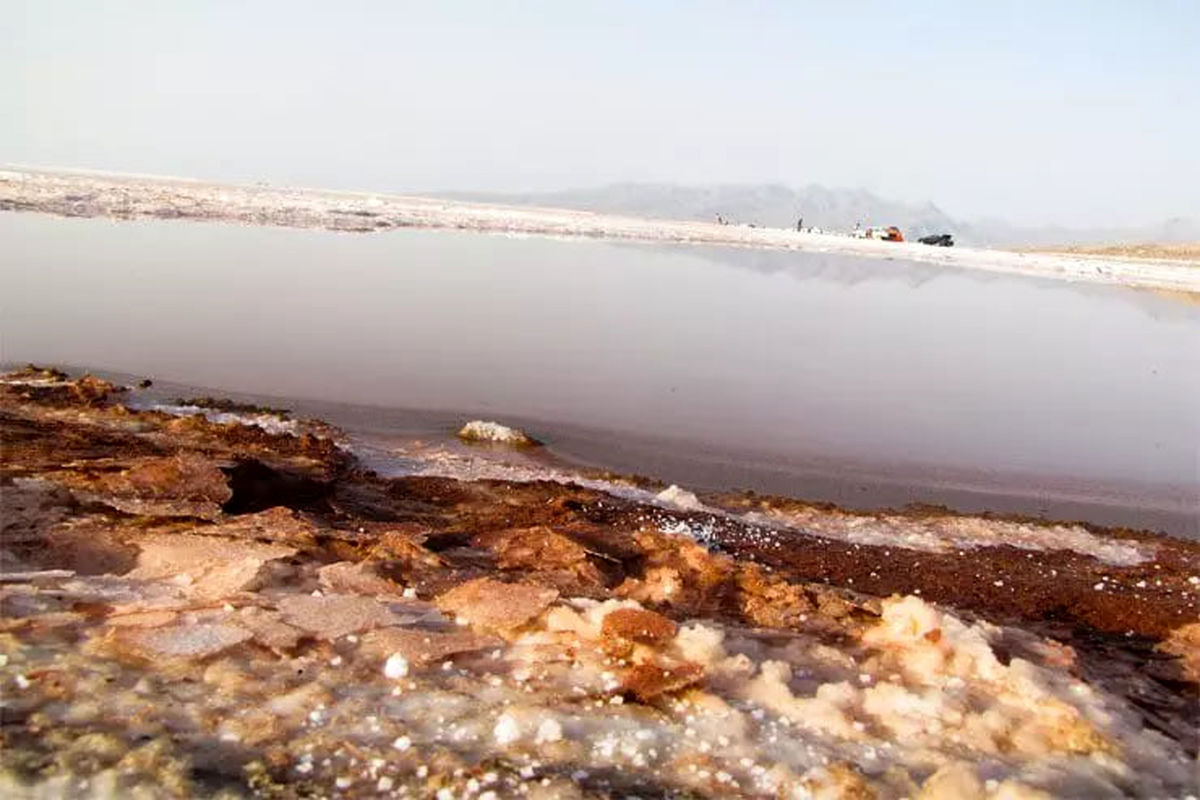 سر و کله قاتل دریاچه ارومیه دوباره پیدا شد