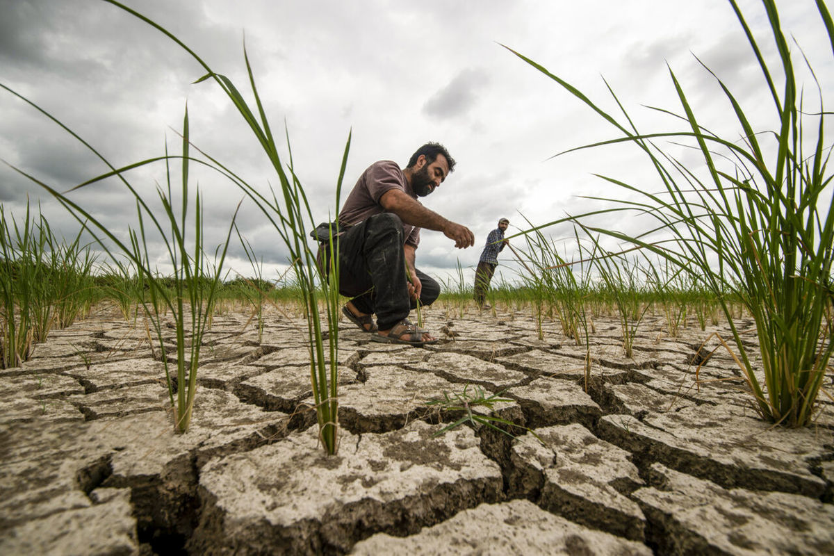 ملت ایران در تابستان ۱۴۰۴ حسابی غافلگیر شدند
