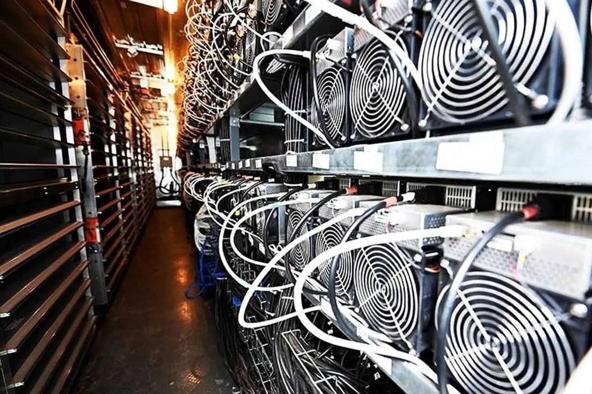 افعی برق‌ خوار ایران بالاخره شناسایی شد