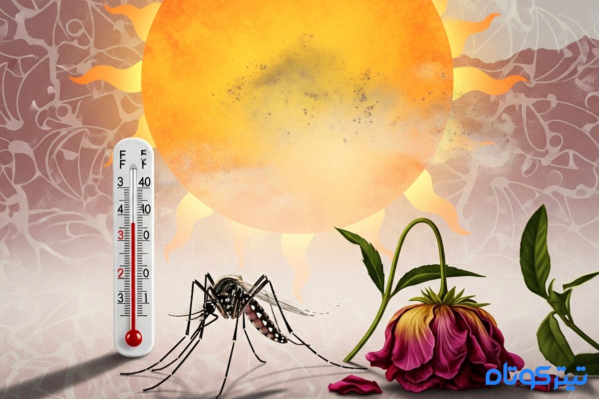 پادکست | خطرات و بیماری های پنهان گرما در ایران