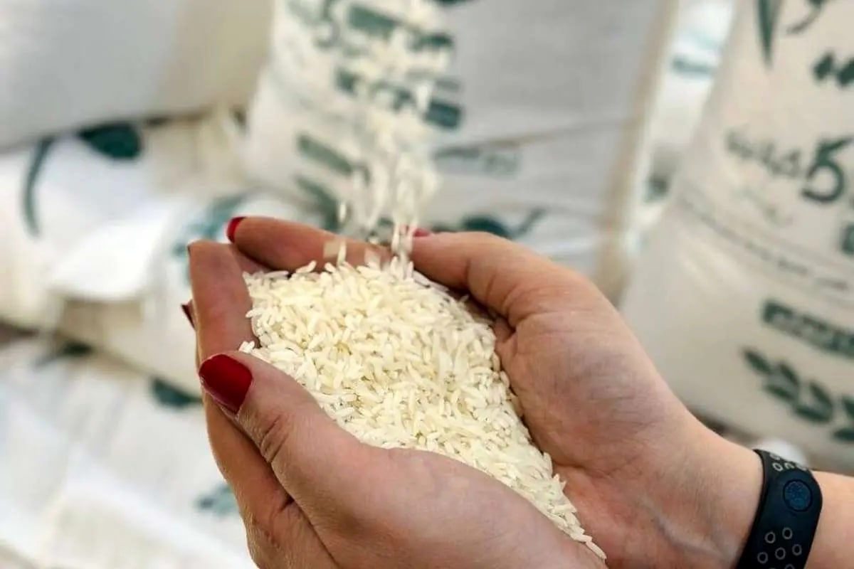 اعلام قیمت واقعی برنج ؛ بازار برنج قربانی شد
