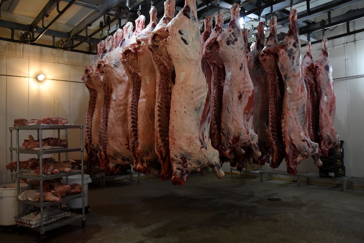 تصمیم مهم درباره بازار گوشت بعد از جنگ ۱۲ روزه