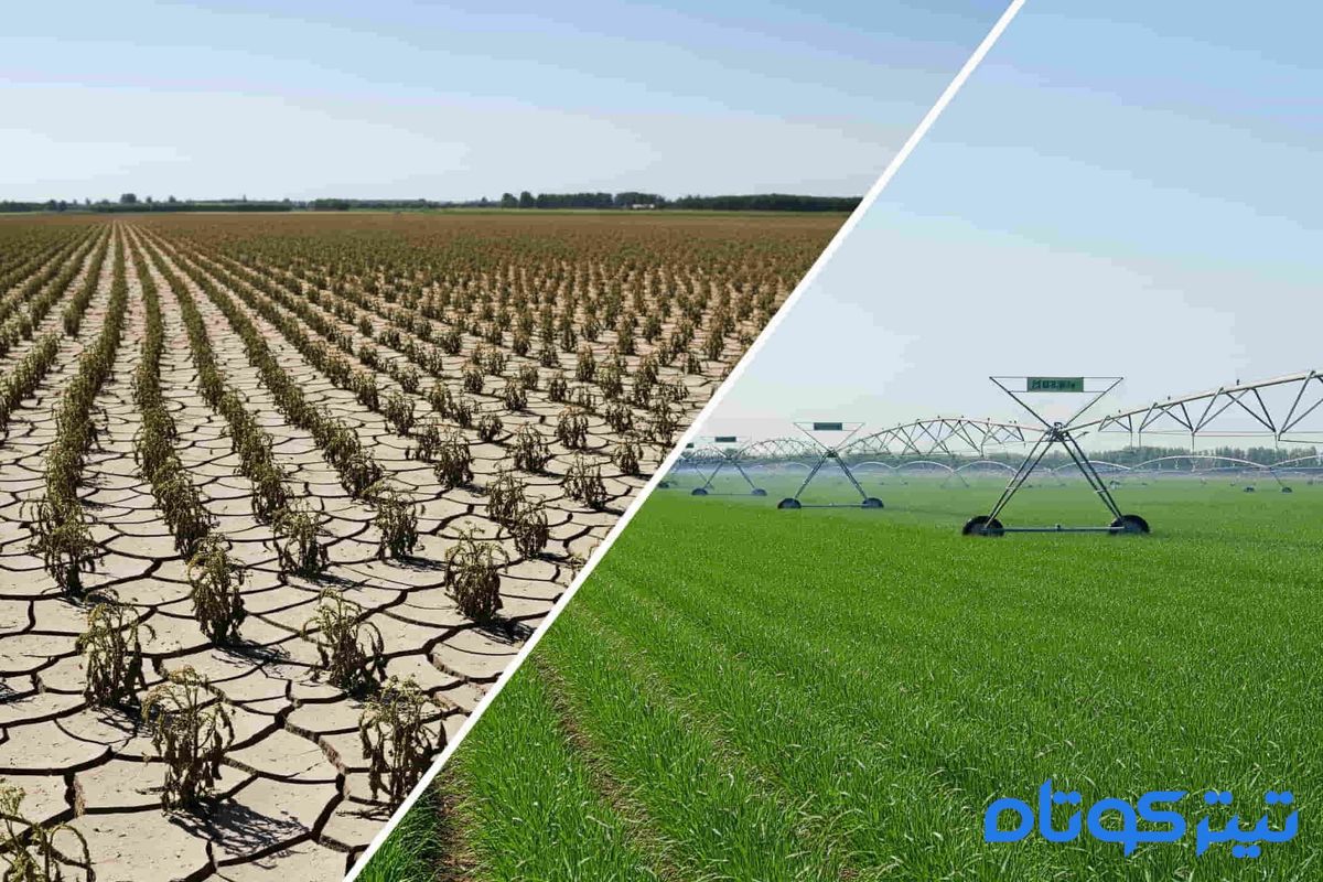 پادکست | زنگ خطر برای کشاورزی ایران / دو راهی اقتصاد و اقلیم