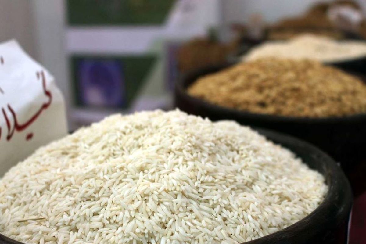 سقوط آزاد قیمت برنج ایرانی رسماً‌ آغاز شد ـ یکم شهریور