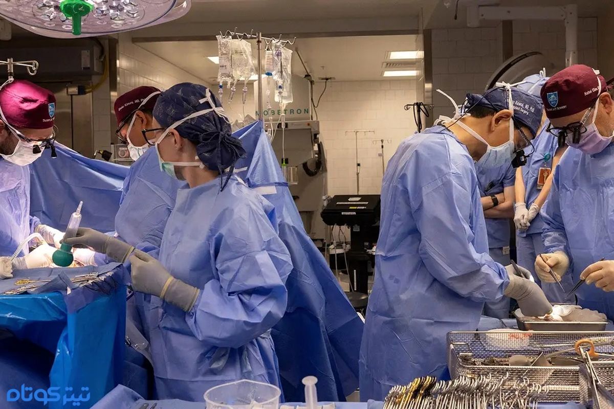 پیوند کلیه خوک به بیمار ۵۴ ساله در ماساچوست