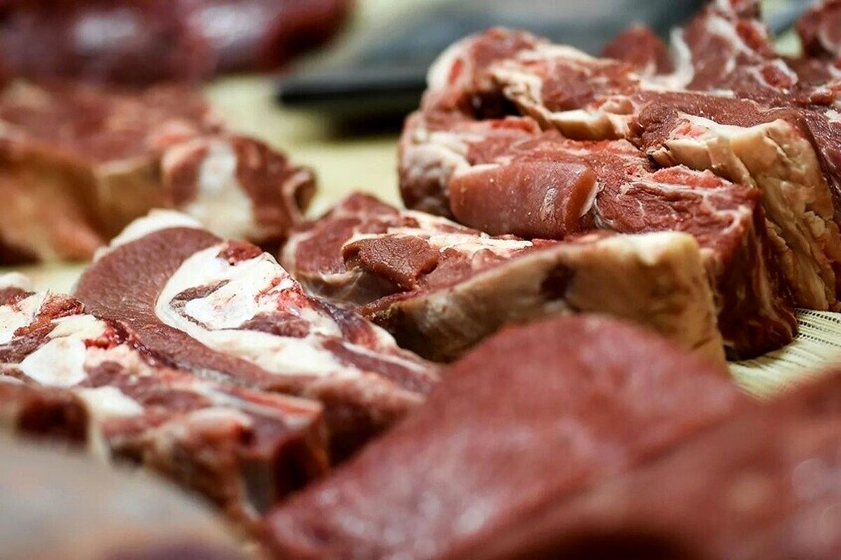 شرط ارزان شدن گوشت و لبنیات رسماً اعلام شد