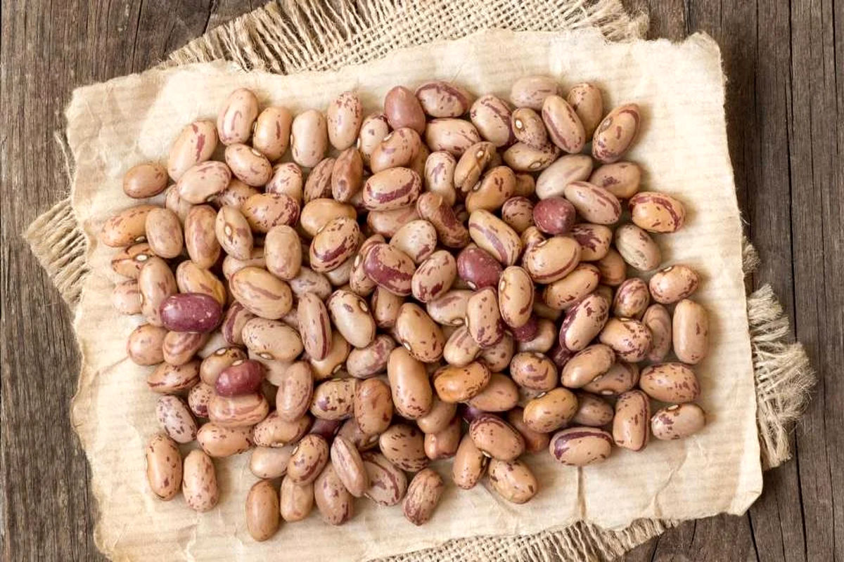 قیمت لوبیا چیتی رسماً سقوط کرد (۲۹ شهریور)