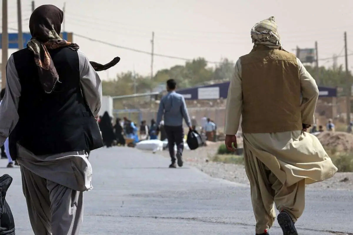 اولین درخت اخراج اتباع افغان در ایران میوه داد