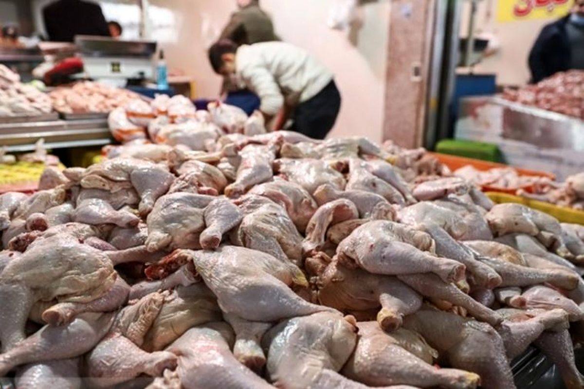 زلزله ۸ ریشتری در بازار مرغ / قیمت ها حسابی صعودی شد