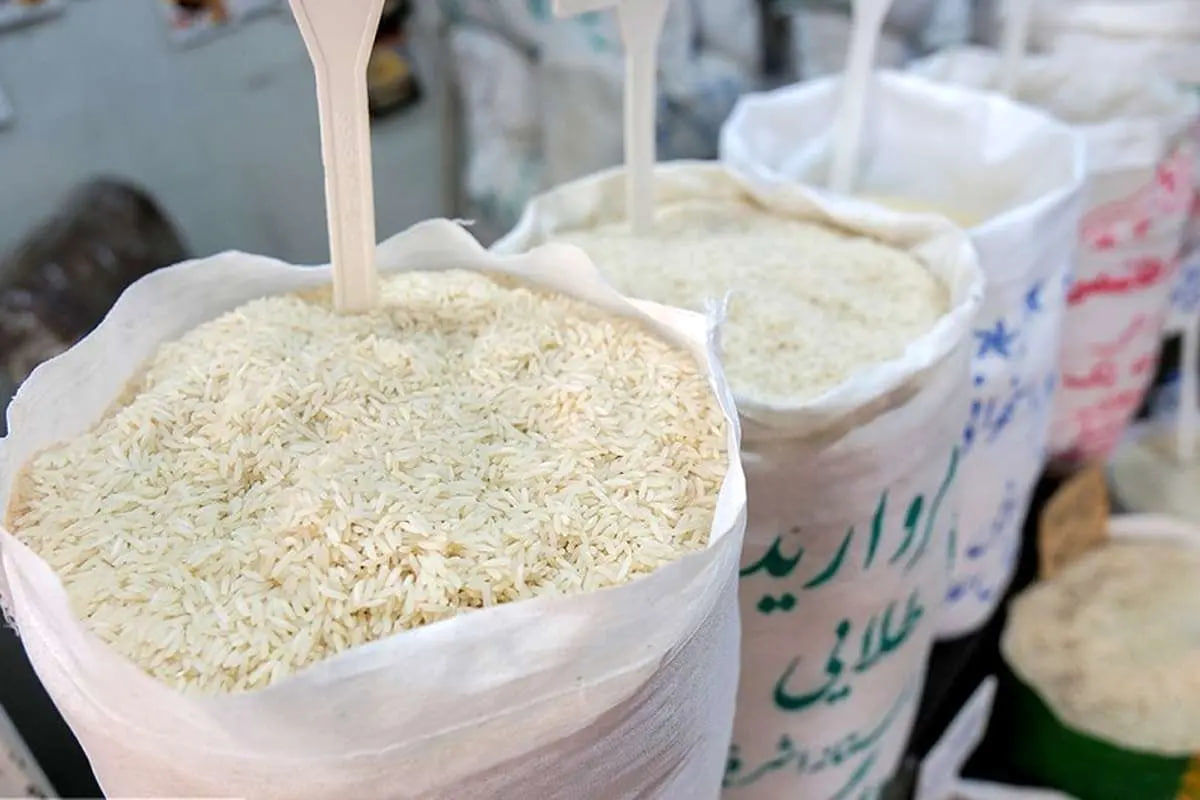 روند صعودی قیمت برنج / هر کیلو به ۳۰۰ هزار تومان رسید!