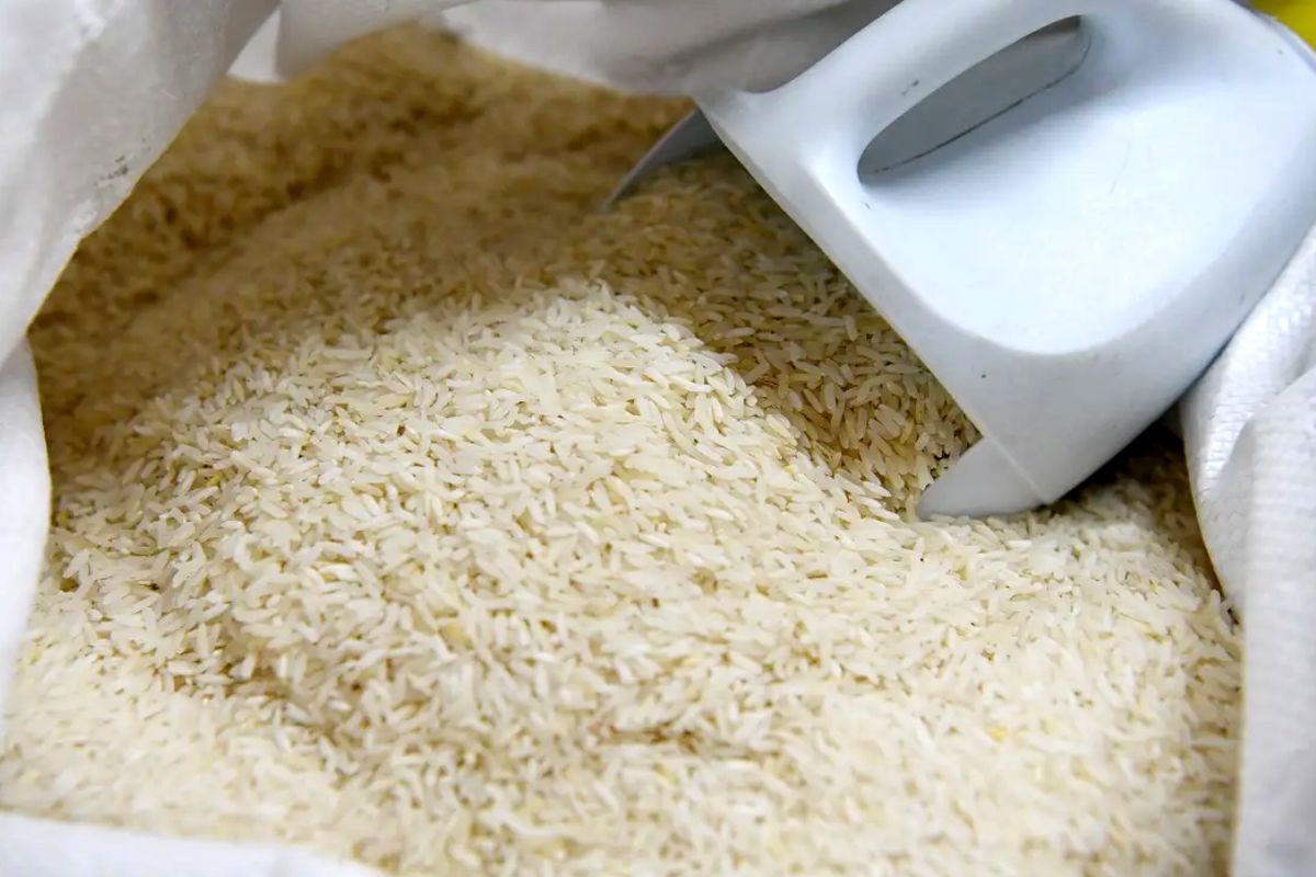 بازار برنج ایرانی در مدار افزایش قیمت+ جزئیات