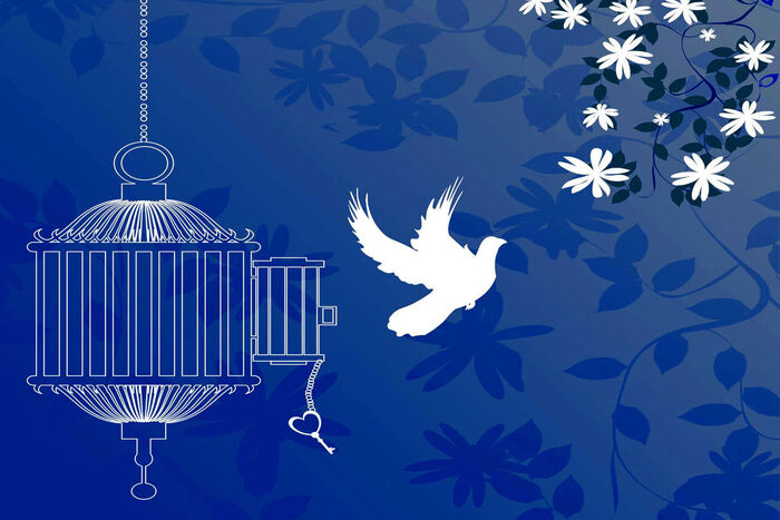 آزادی تمامی مادران زندانی جرائم مالی غیرعمد تا سقف ۲۵۰ میلیون تومان به همت بانک پارسیان