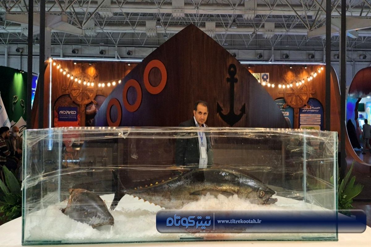 تصاویر | گردهمایی بزرگ فعالان صنعت شیلات کشور در نمایشگاه تهران