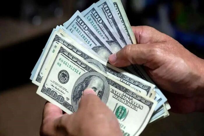 ترمز قیمت دلار رسمی کشیده شد + جدول نرخ ارز