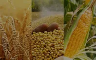 جهان در آستانه یک بحران تاریخی / انفجار قیمت مواد غذایی در راه است!