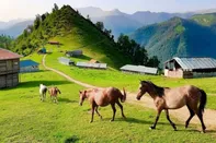 تور گردشگری شمال در پاییز چقدر هزینه دارد؟