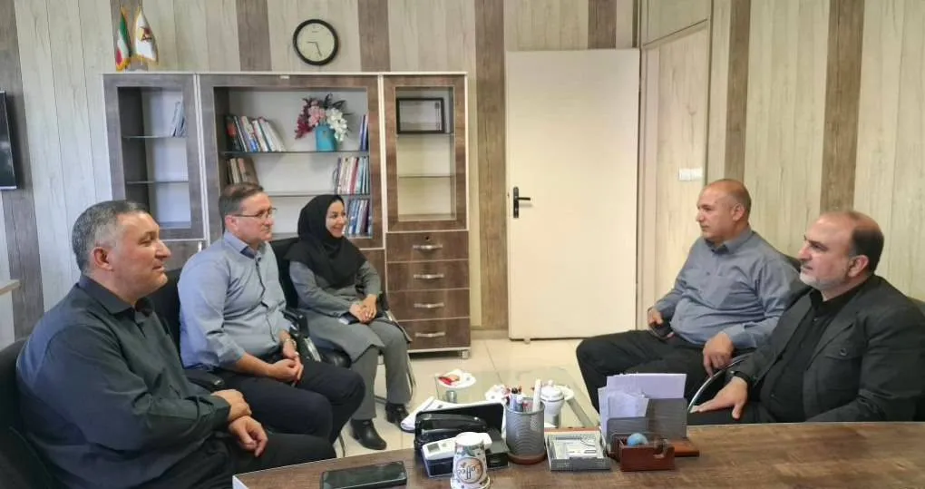 بیمه دی