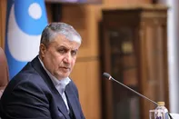 رئیس سازمان انرژی اتمی ایران عازم وین شد