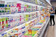 لبنیات ارزان قیمت در راه است / عرضه فقط از طریق کالابرگ