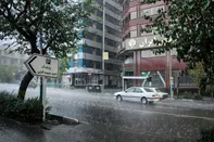 تهران بارانی تر از همیشه