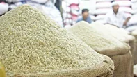 آغاز روند واردات برنج سفید و غیر سفید