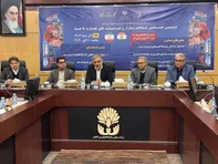 نقشه راه ورود ایران به بازار میلیارد دلاری هند بررسی شد
