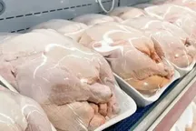 قیمت مرغ در آستانه نیم میلیونی شدن