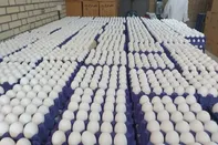 پشت پرده افزایش قیمت تخم مرغ