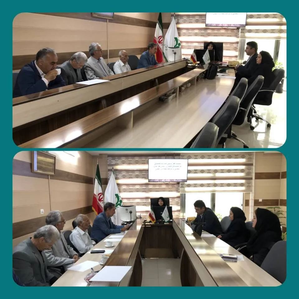 بیمه دی بیمه دی