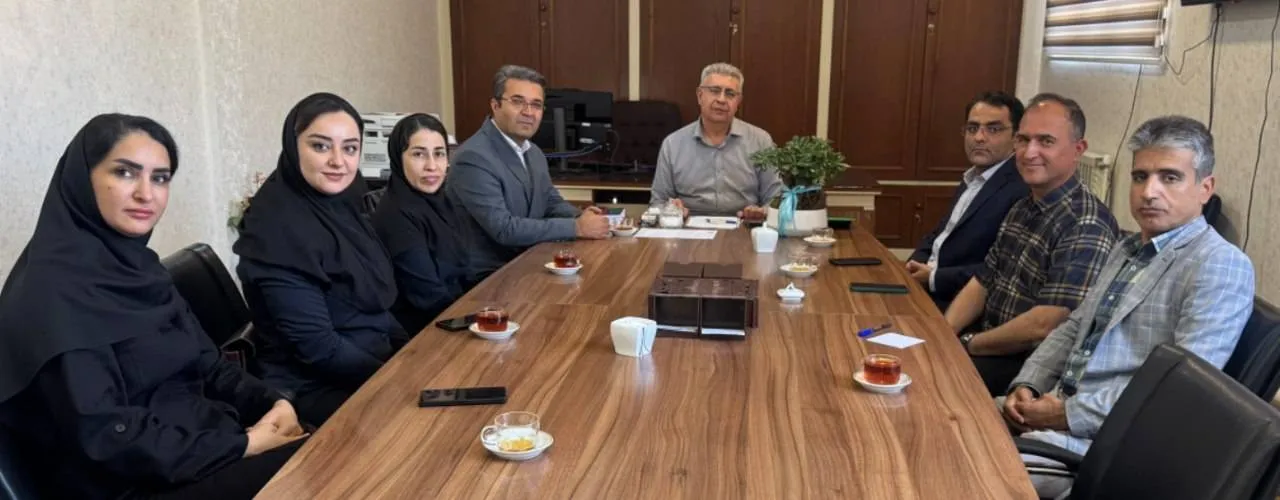 بیمه دی بیمه دی