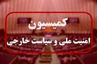 بررسی جدی طرح ممنوعیت انتصاب مدیران‌ ۲ تابعیتی در مجلس