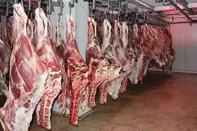 تشریفات گمرکی واردات گوشت حذف شد