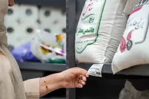 اقدامی ویژه برای تنظیم بازار / برنج ارزان رسید