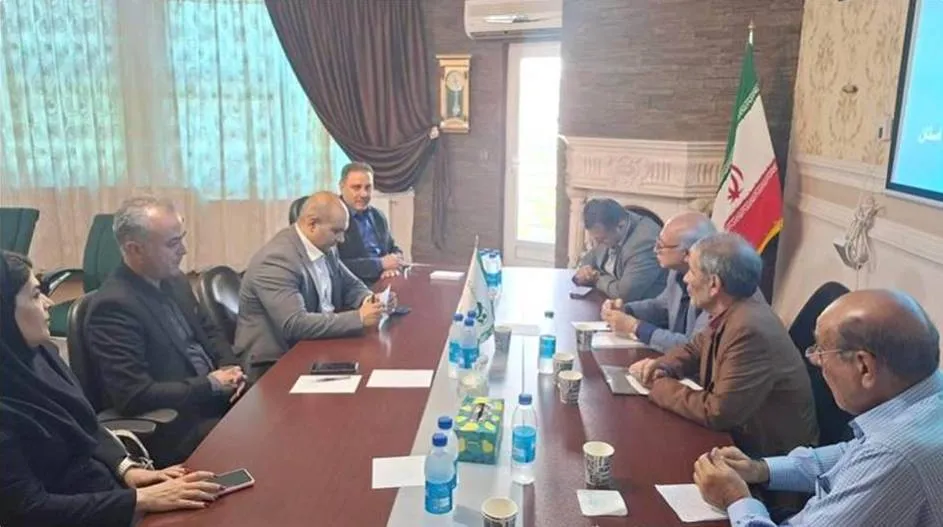بیمه دی بیمه دی