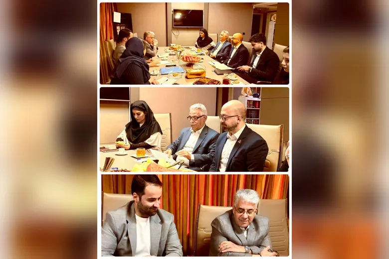 پیشنهاد تشکیل پاویون آفریقای جنوبی در ایران کان‌ماین ۲۰۲۶