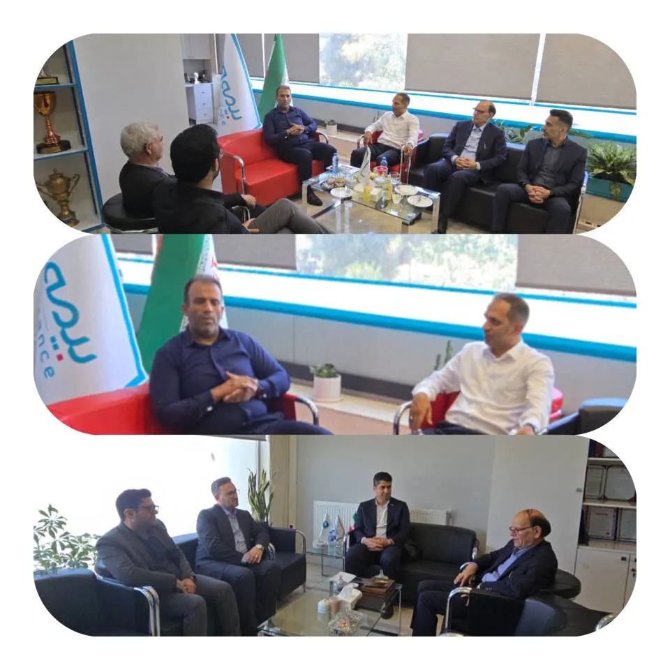 بیمه دی بیمه دی