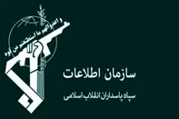 دستگیری ۷ کرمانی دردسرساز