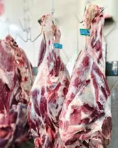 افزایش شدید قیمت دام زنده و گوشت در راه است؟