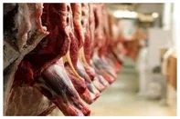 ریزش قیمت گوشت در راه است؟